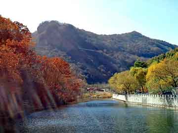 新澳天天开奖资料大全旅游团，重庆华视传媒